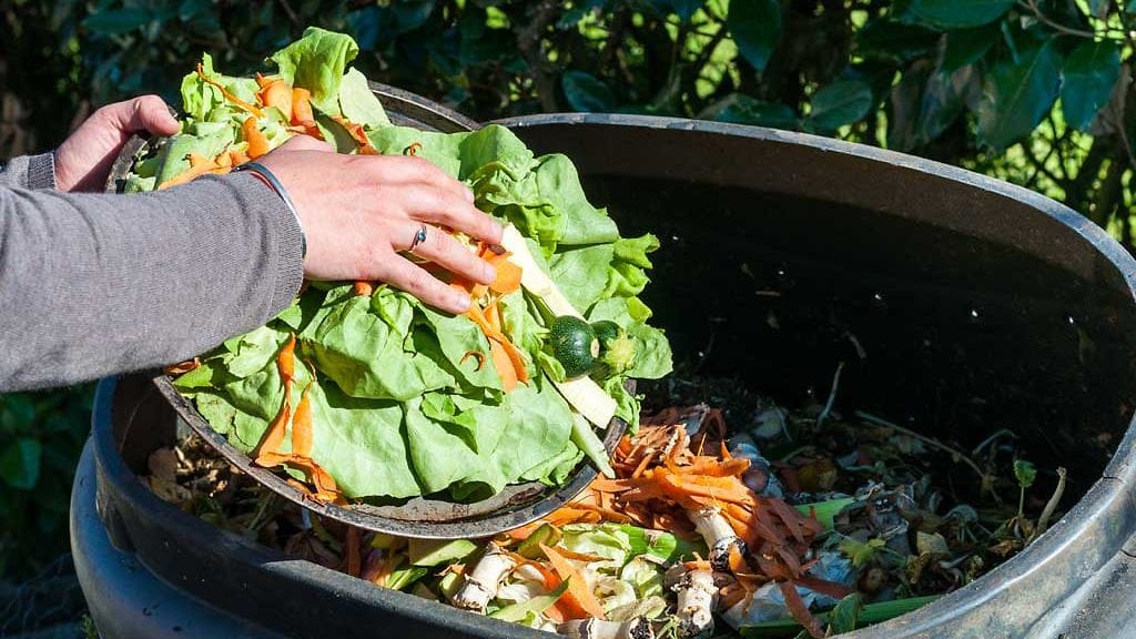 Kompostointi ei ole vaikeaa, se vaatii vain parin perussäännön opettelemista.