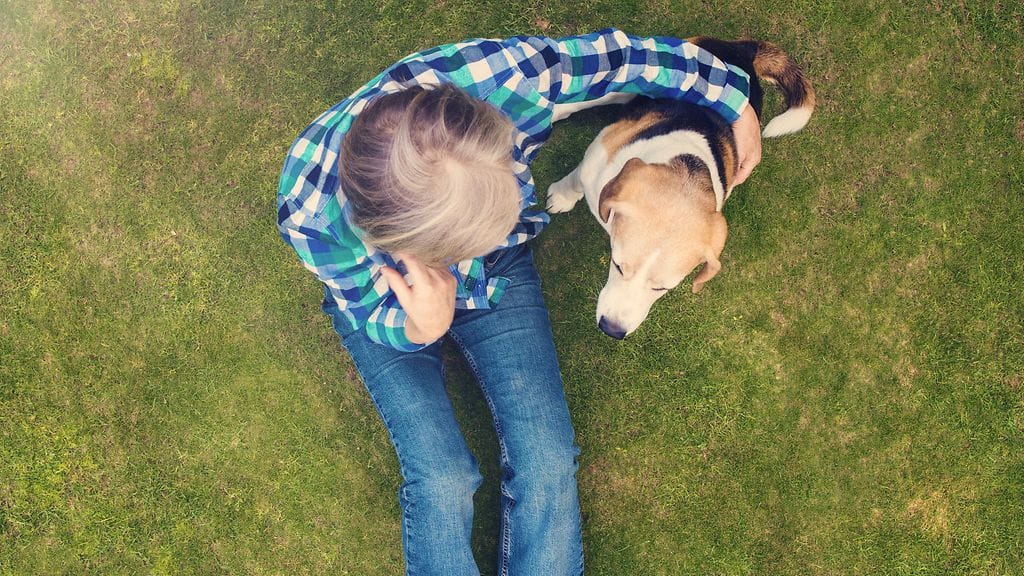 Koira voi nojata ihmiseen useasta eri syystä.