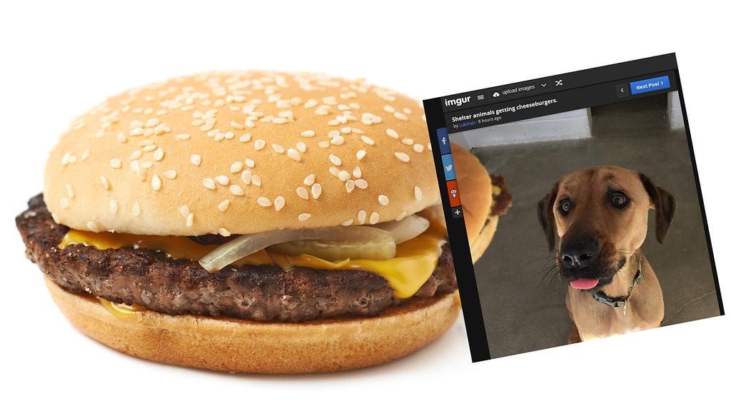 Kuvituskuva ja kuvakaappaus Imgurista