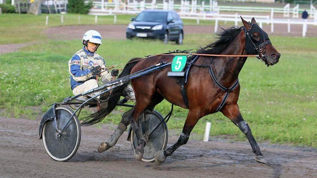 Olli Holopainen nauttii isänsä tavoin ohjastustehtävistä.