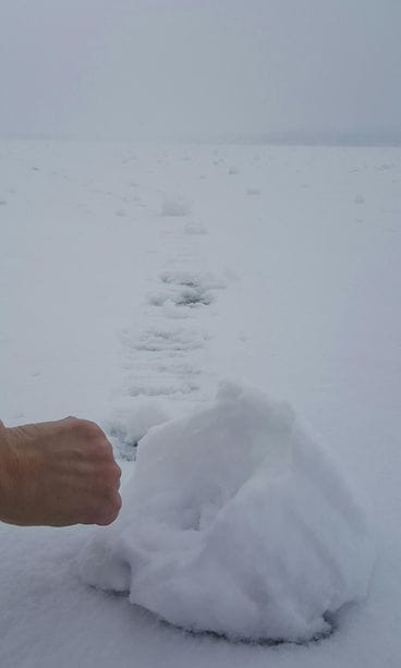 Lumirulla Oulujärvellä 14.2.2016. Lukijan kuva: Jaana Keränen.