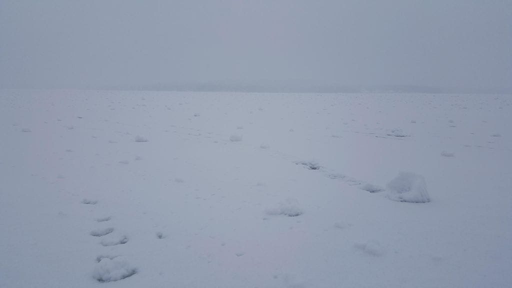 Lumirullia Oulujärvellä 14.2.2016. Lukijan kuva: Jaana Keränen.