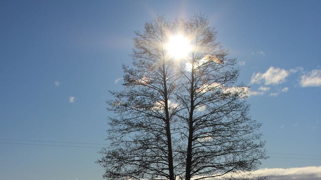 Aurinko paistoi Lahden Vesijärvellä 13. helmikuuta 2016. Lukijan kuva.