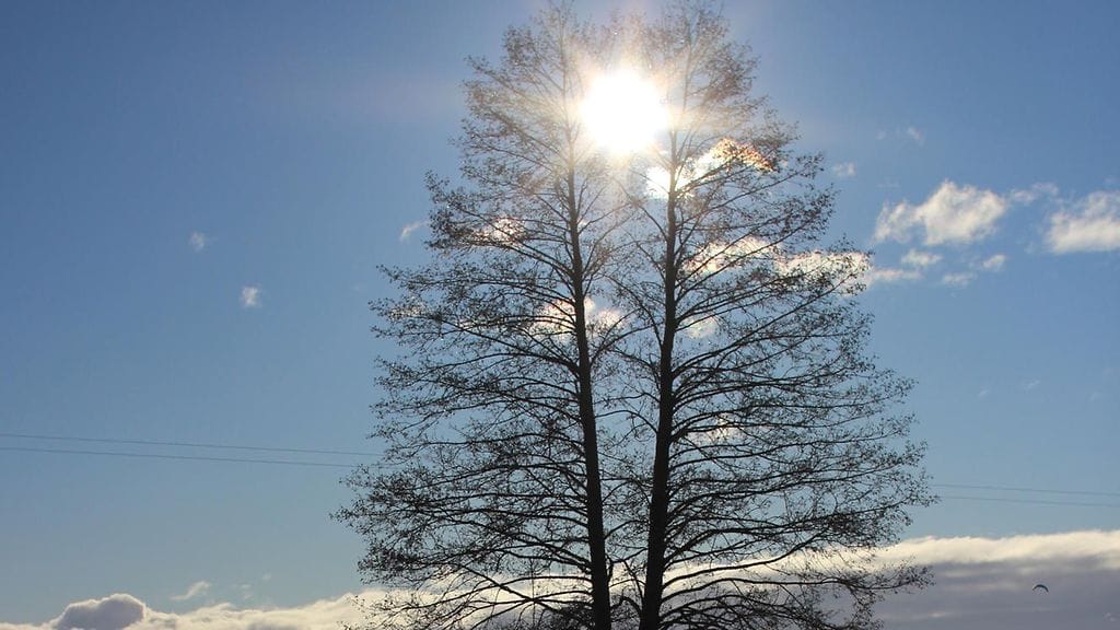 Maarit Cabral kuvasi aurinkoisen viikonloppupäivän Lahden Vesijärvellä 13.2.2016. Lukijan sääkuva.
