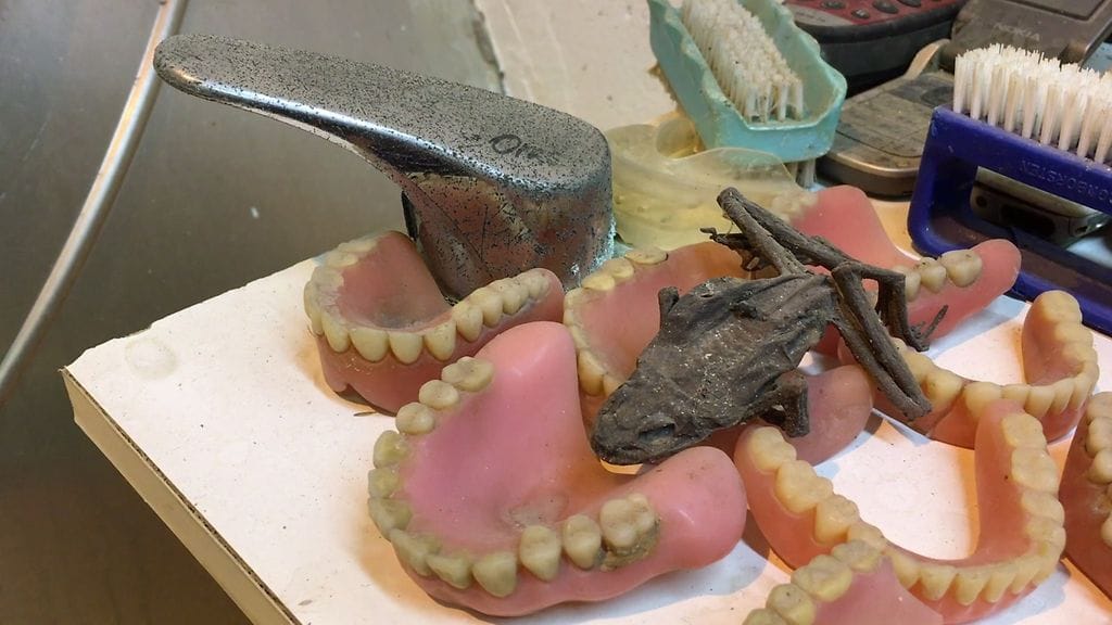 Viikinmäen jätevedenpuhdistamossa jätevedestä löytyneitä asioita