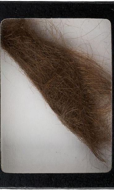 John Lennonin hiukset