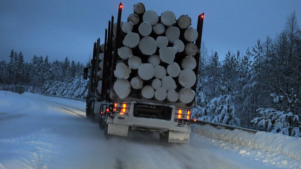 Tukkirekka on ajanut ulos tieltä Punkaharjulla Etelä-Savossa. Kuvituskuva.