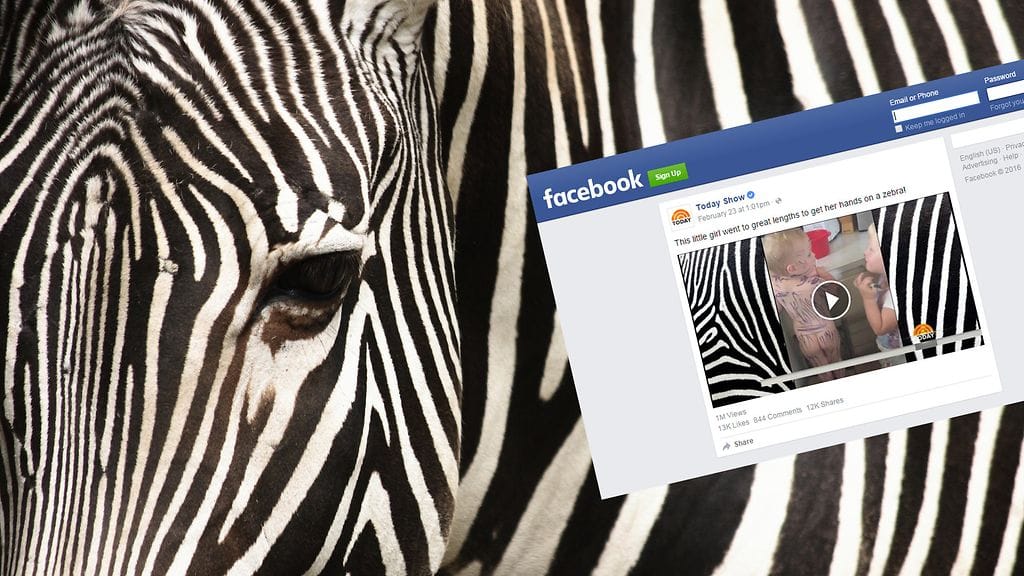 Kuvituskuva ja kuvakaappaus Facebookista