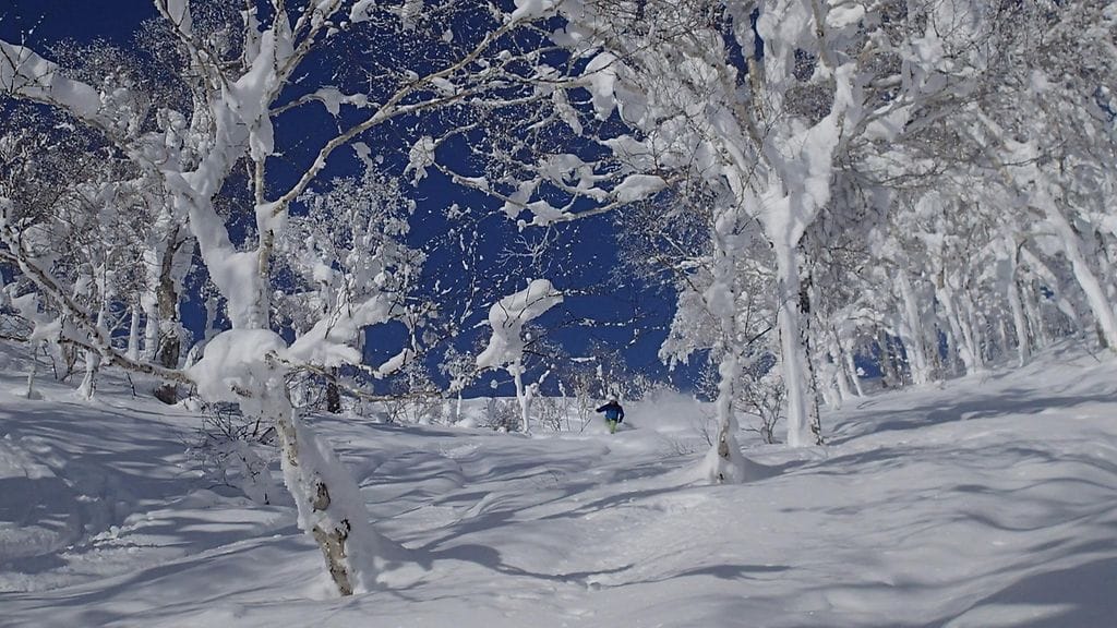 Japanin hiihtokeskuksissa on tarjolla yltäkyllin puuterilunta. Dani Kamras laskettelee Kirorossa.