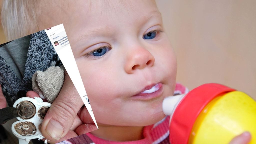 Kanadassa kohistaan homeisista nokkamukeista.