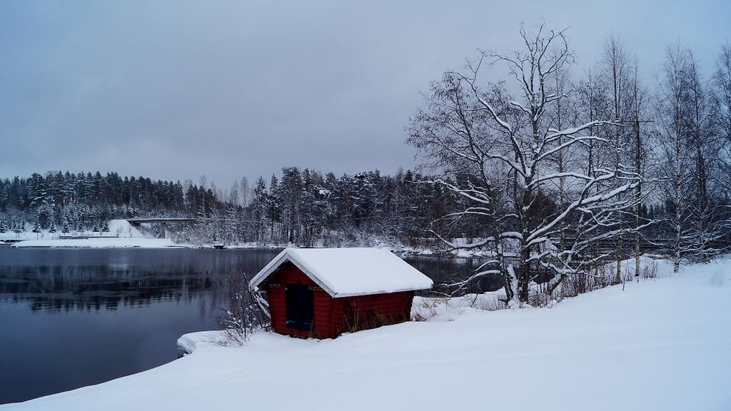 Pilvinen talvipäivä Laukaassa 23. helmikuuta 2016. Kuva: Maarit Siitonen