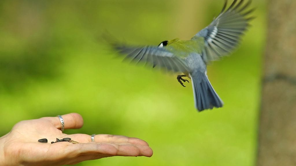 "Et ole vain mieli ja ruumis, vaan on joku kolmaskin."