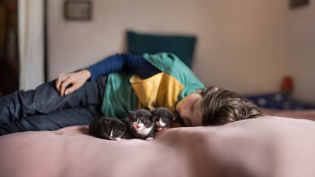 2 Fotofinlandia 2016 voittaja