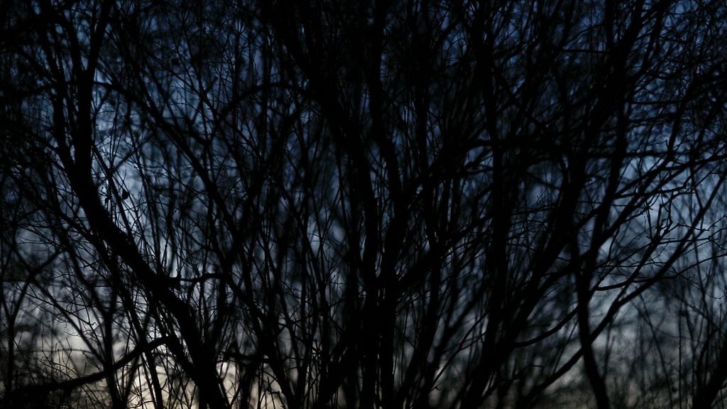 11 Fotofinlandia 2016 voittaja