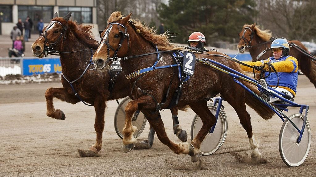 Suivikas rattaillaan Terho Rautiainen voitti kuudennen lähdön Vermon Toto76-raveissa.