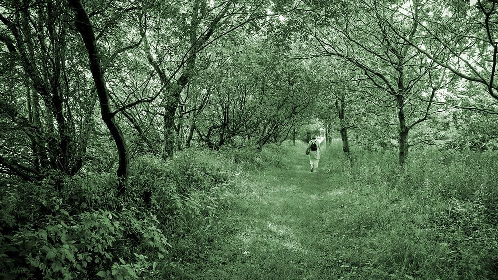 "Mielialat tarttuvat minuun, jopa ihan tuntemattomien ihmisten." Kuvituskuva.