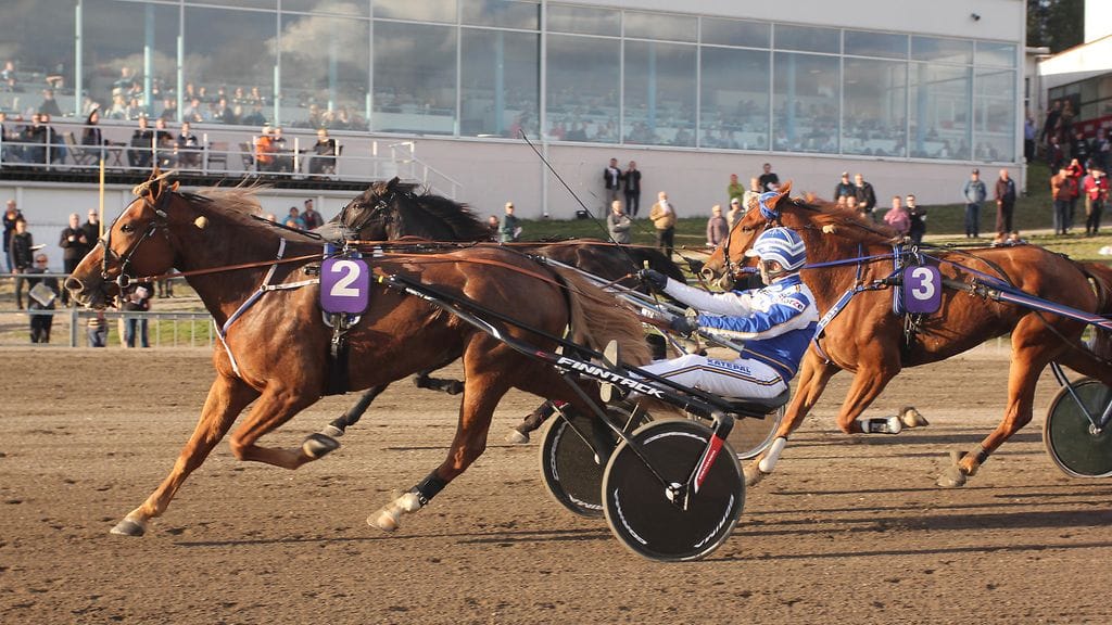 Esa Holopainen on löytänyt Taruntuulelle sopivan tehtävän Vermon tämäniltaiselta Toto65-kierrokselta.