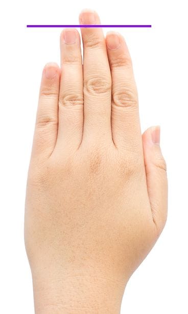 käsi3