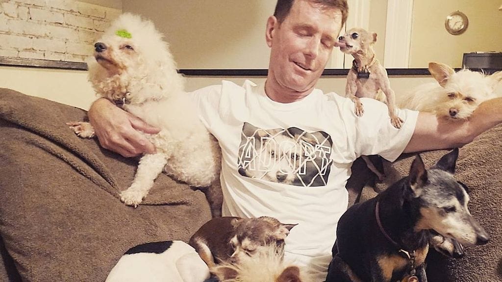 Steve Greigillä on kotonaan kymmenen koiravanhusta ja iso liuta muita eläimiä. Kuva: Instagram/wolfgang2242