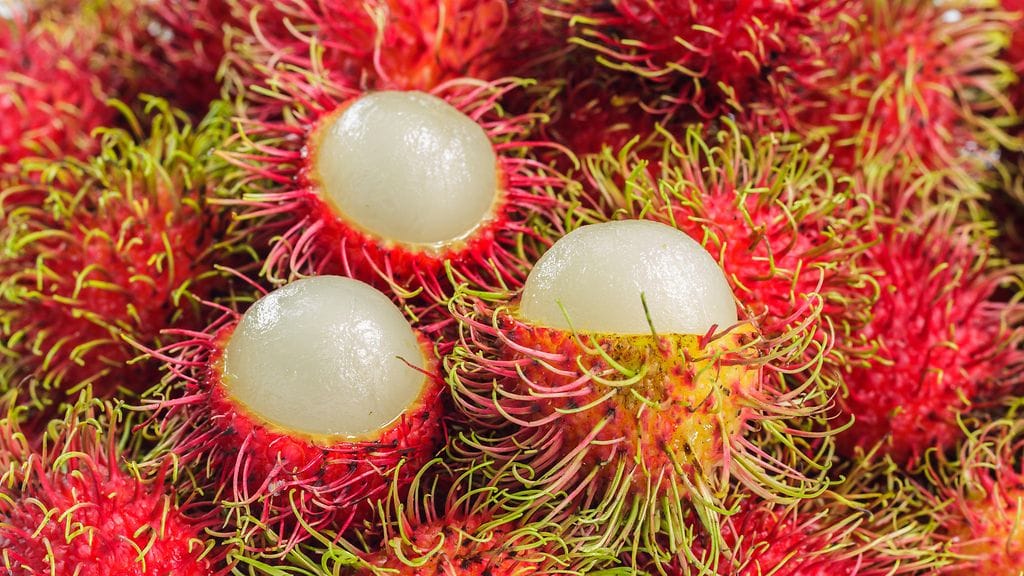 rambutan