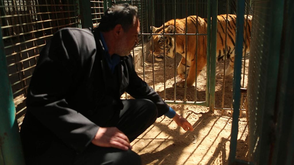 Jamal Saad yrittää myydä eläintarhan viimeistä eläintä, nälkiintynyttä tiikeriä. Kuva otettu maaliskuussa 2016.