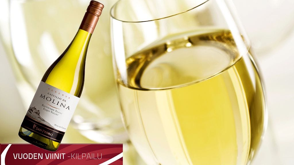 Vuoden Viini 2016 on chileläinen Castillo de Molina Reserva Sauvignon Blanc -valkoviini.