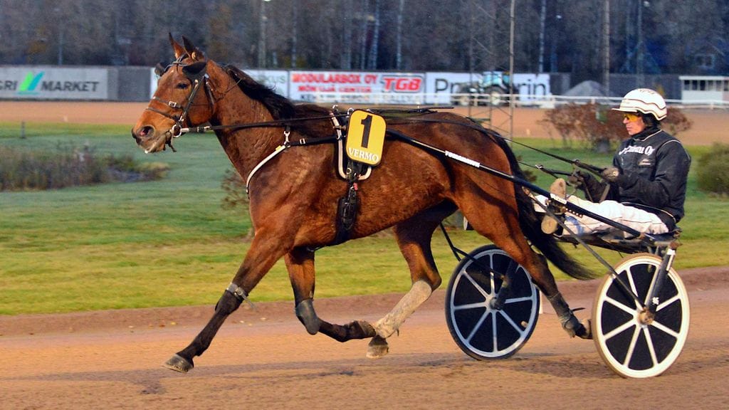 Mika Taittonen ohjastaa C Moren Toto65-vihjerivin tukipilaria, Rosegirliä. Kuvassa New Grove Quadro.
