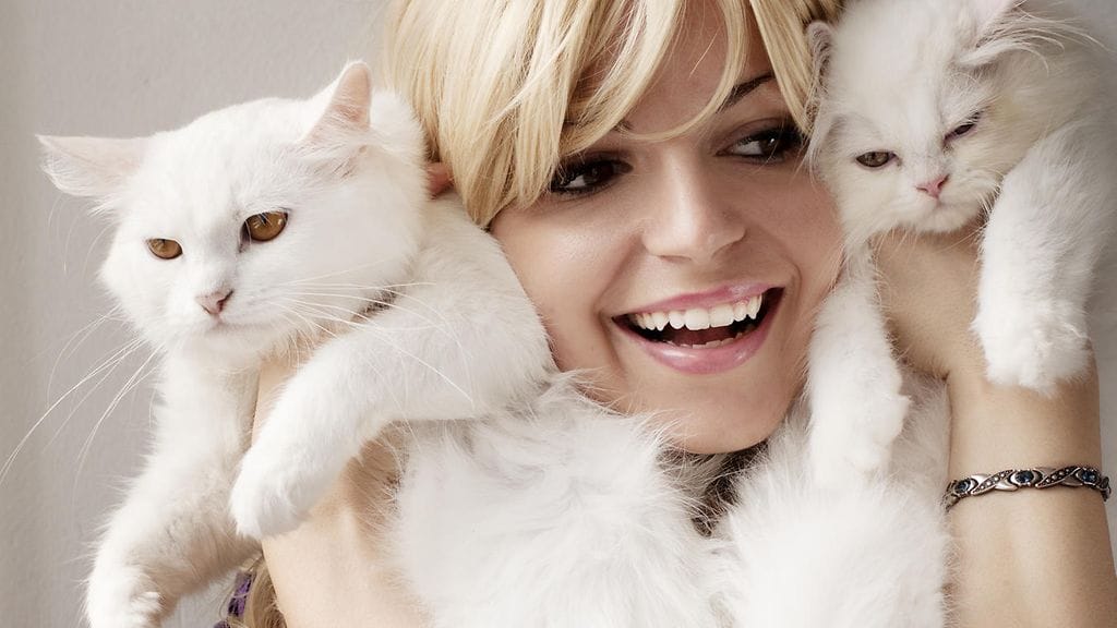 Oletko kissanainen henkeen ja vereen?