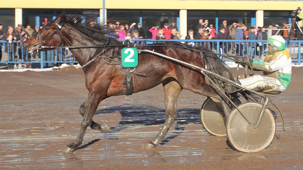 Ida's Owenilla riittää sekä voimaa että vauhtia. Kuvassa tulee Toto76-voitto neljän kilometrin kilpailun päätteeksi.