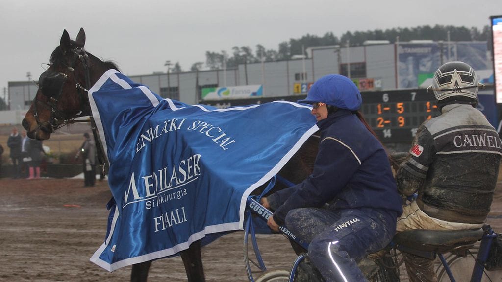 Katja Kolin valmentama Speed of Dynamite voitti Pilvenmäki Specialin viime vuonna.