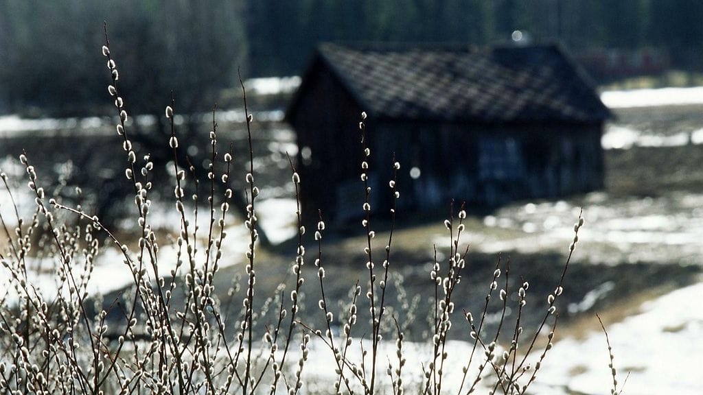 Millaisia mielikuvia pääsiäisen juhliminen sinussa herättää?