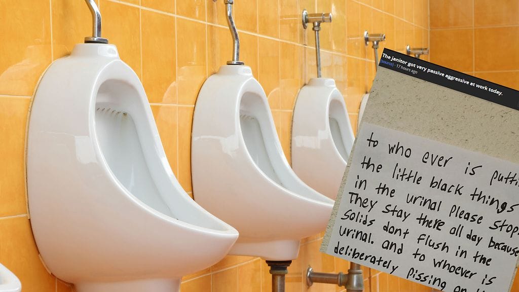 Jos olet tarpeeksi vanha menemään töihin, olet tarpeeksi vanha käyttääksesi kylpyhuonetta.