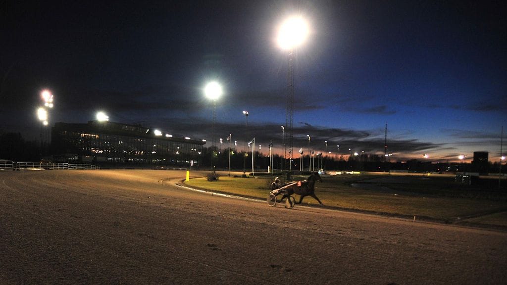 Nuoret ohjastajalupaukset valtaavat Vermon kaviouran syksyisenä keskiviikkoiltana.