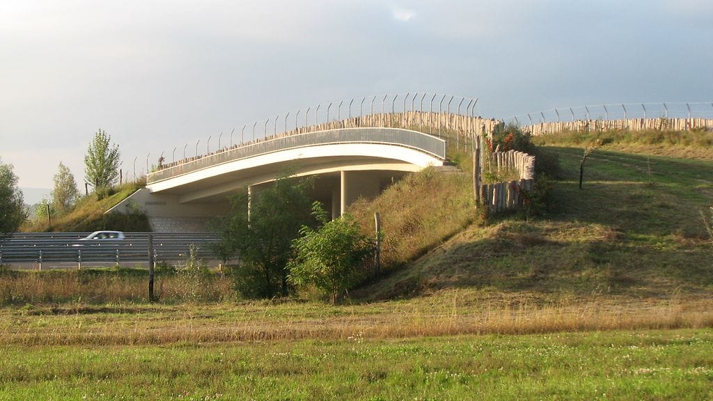 Vihersilta Unkarissa.