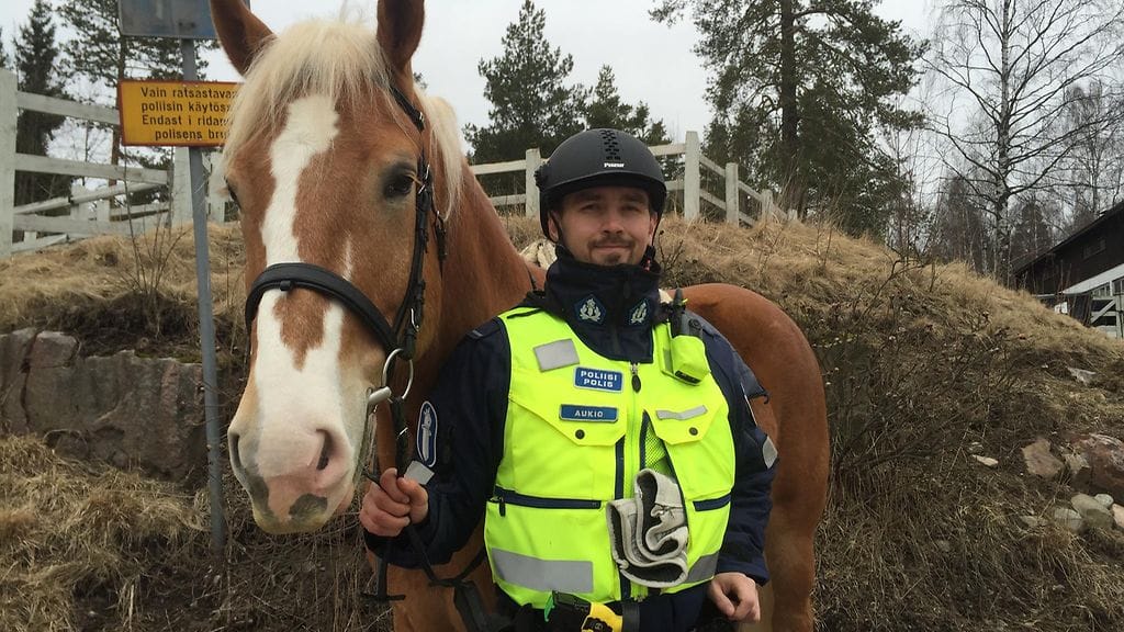 Vanhempi konstaapeli Sampsa Aukio Helsingin poliisin ratsupoliisitallilla Ruskeasuolla. Kuvan hevonen puoliverinen ruuna Ivan Hrozny.