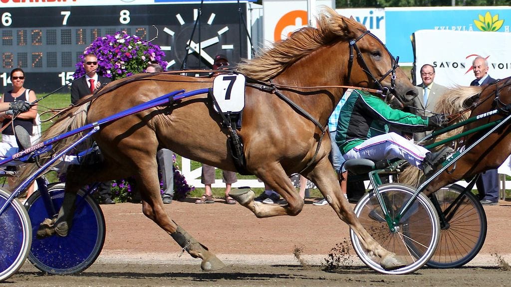 Maisirin palkintokaapista löytyy muun muassa Pikkuprinssi-kilpailun hopeasija vuodelta 2013.