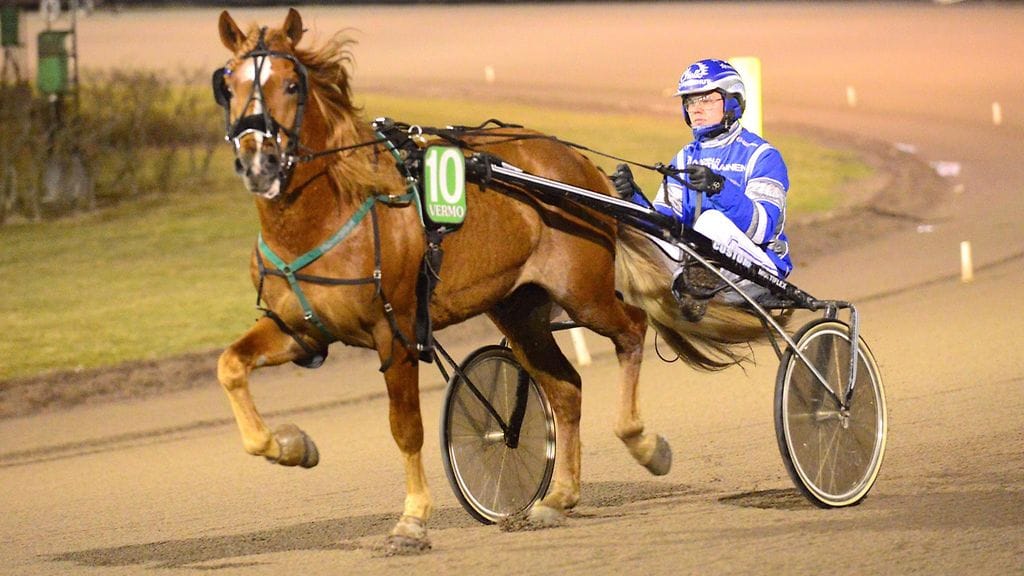 Kartier ja Heikki Mikkonen palaavat kilpaurille takomaan voittoja pienen huilin jälkeen.