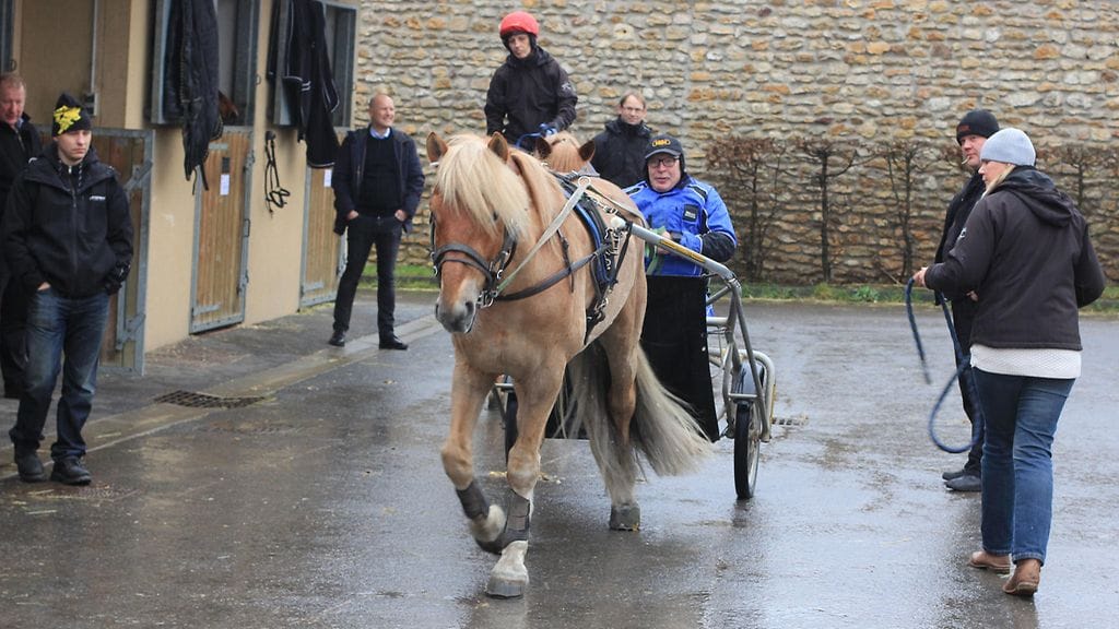 Jouni Miettinen ja Rapin Aatos.