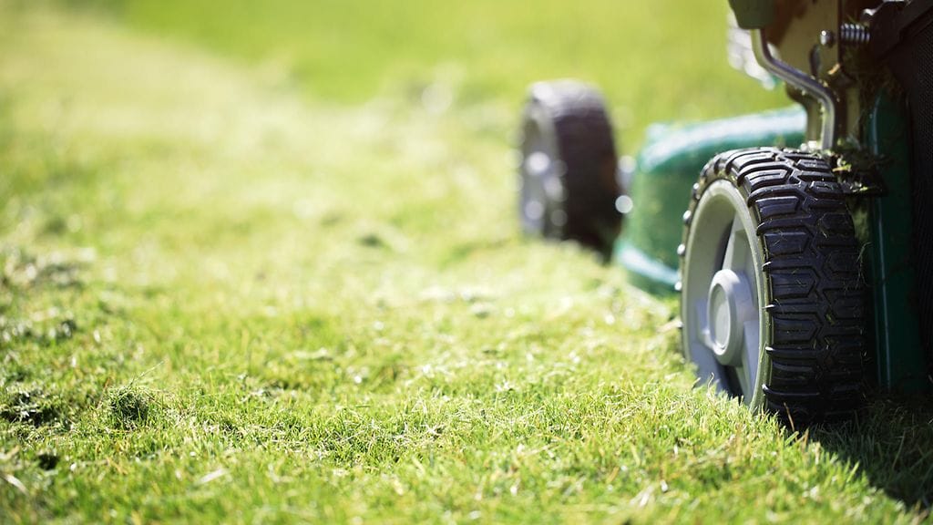 Nurmikon voimakas tuoksu vie meidät hetkeksi lapsuutemme lämpimiin kesiin.