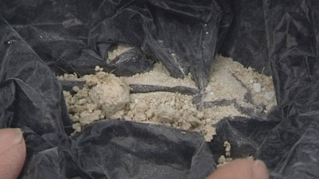 Raffe-koira, myrkytys (3)