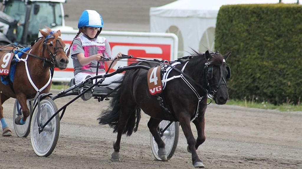 poniravit nuorisotoiminta ravit