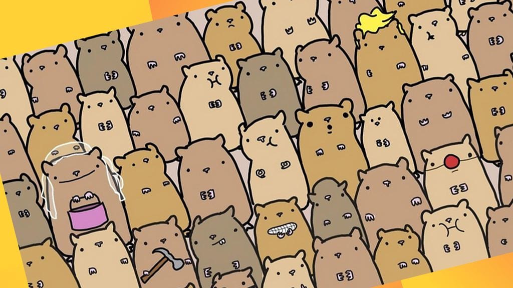 Nyt hamstereiden seasta etsitään perunaa. Oletko valmis haastamaan itsesi?