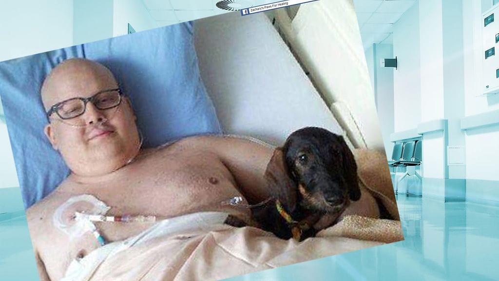 Sairaalassa Zacharyn suurin toive oli  nähdä koiransa.