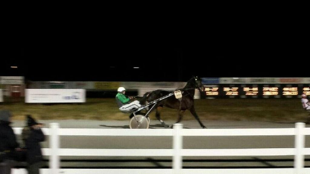 Teivon Toto5-kierroksella starttaa tänään  Black Boys Blue, jota valmentaa Heikki Hoffren.