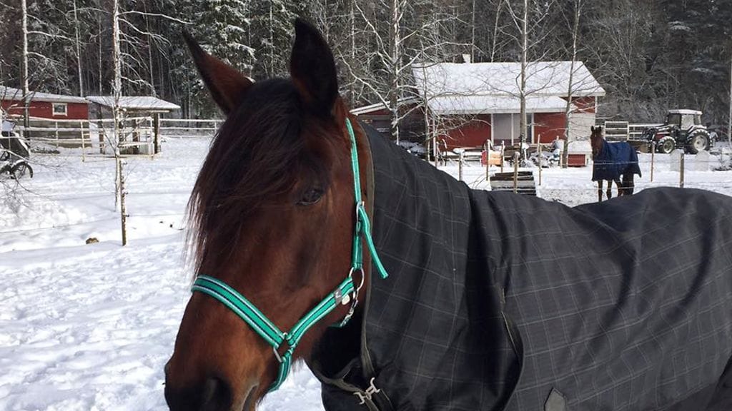 Daisy Nass tavoittelee jälleen koko matkan keulasooloa Vermossa.