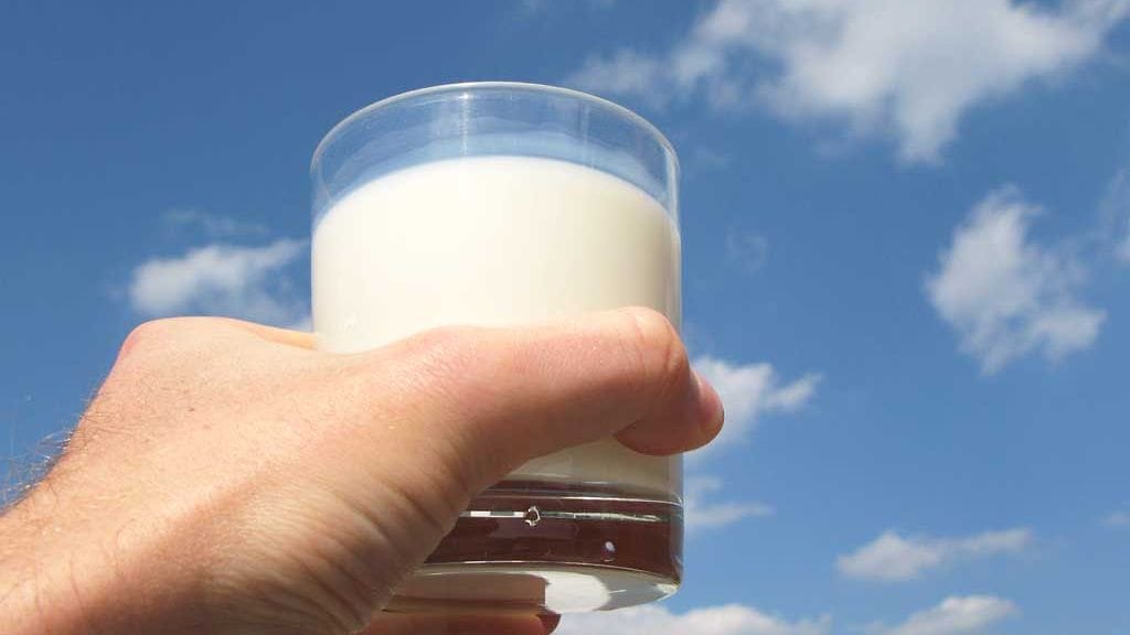 Tuoreen tutkimuksen mukaan rasvaisella maidolla saattaa olla yhteys pienempään diabetesriskiin.