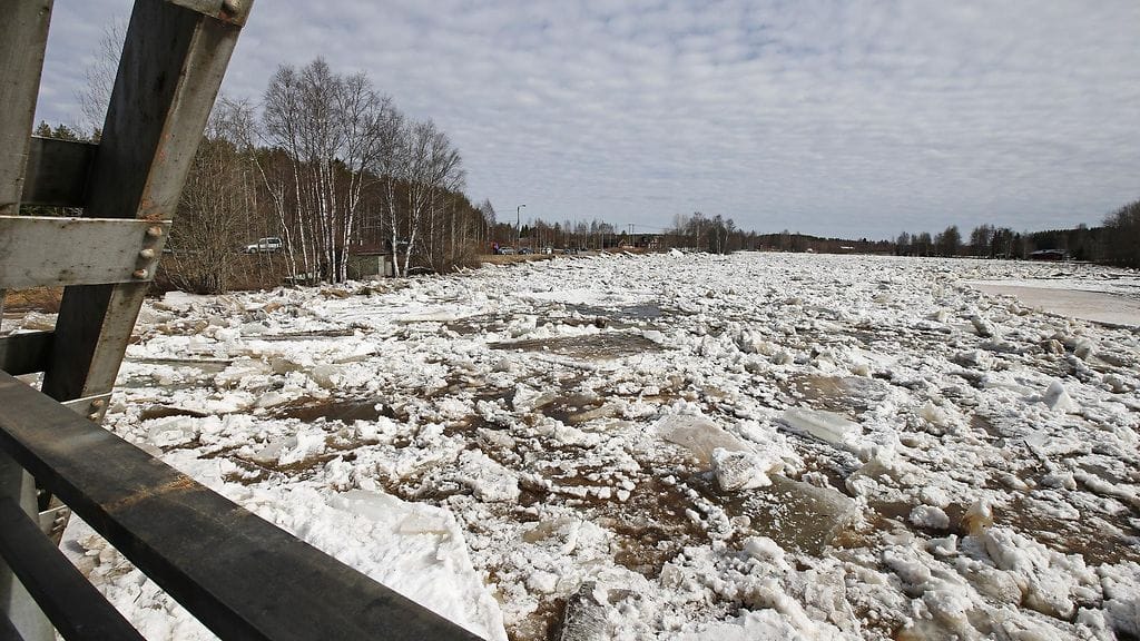 34010529 Jääpato Kiiminkijoen Kontionkoskessa 11. huhtikuuta 2016.