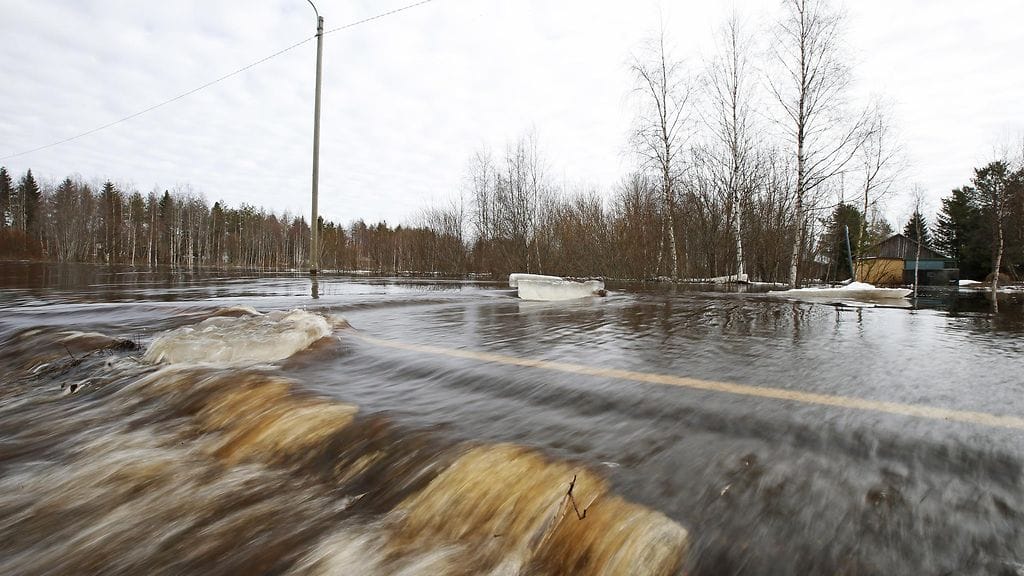 34010503 Jääpato Kiiminkijoen Kontionkoskessa 11. huhtikuuta 2016.