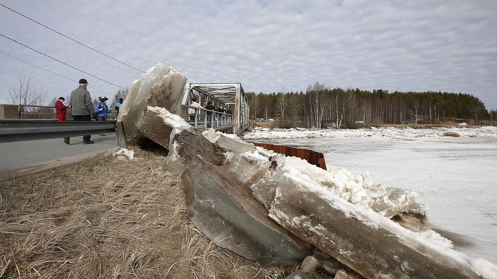Jääpato Kiiminkijoen Kontionkoskessa 11. huhtikuuta 2016.