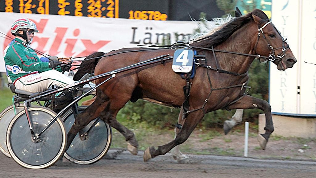 Lilin Jytky tienasi viime vuonna yli 34 000 euroa. Hopeasija Kriteriumissa toi yksinään 19 000 euron potin.